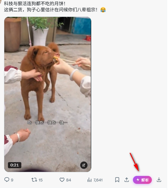 Twitter/X 高清视频解析效果